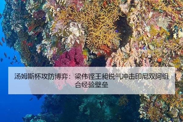 汤姆斯杯攻防博弈：梁伟铿王昶锐气冲击印尼双阿组合经验壁垒